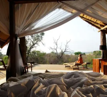 Escuche el sonido de la naturaleza mientras se relaja en su cama.