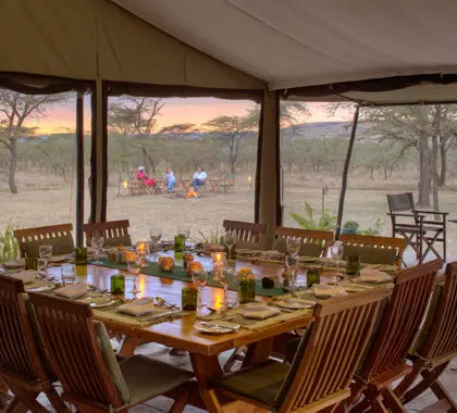 Kicheche-Bush-Camp---dining-area