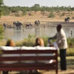 Kicheche Laikipia Camp desayuno con elefantes cerca de la charca del campamento.