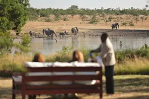 Kicheche Laikipia Camp desayuno con elefantes cerca de la charca del campamento.