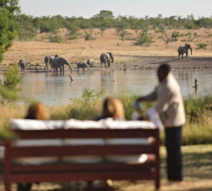 Kicheche-Laikipia-Camp---Breakfast-with-elephants-near-camp-waterhole