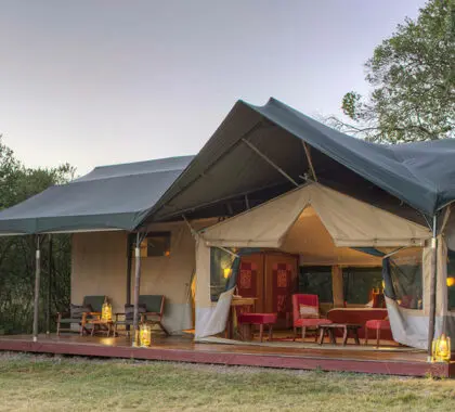 Kicheche Laikipia Camp Tent exterior.