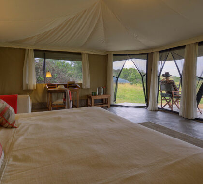 Kicheche-Mara---double-tent-in-to-out-view