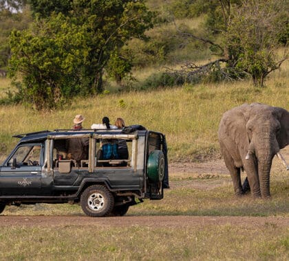 Safari por el Kicheche Mara.