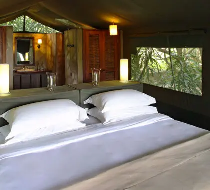 KichwaTemboTentedCamp-LowerLevelBedroom-StandardHabitación