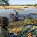 Desayuno en el bosque con hipopótamos cerca.
