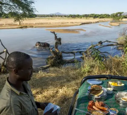 Desayuno en el bosque con hipopótamos cerca.
