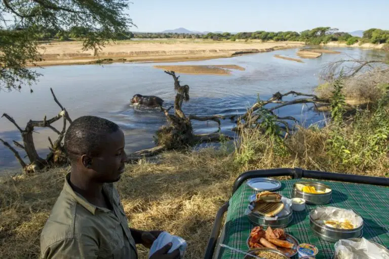 Desayuno en el bosque con hipopótamos cerca.