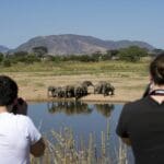 Muchas oportunidades fotográficas en el Parque Nacional de Ruaha.
