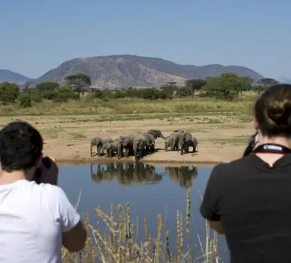 Muchas oportunidades fotográficas en el Parque Nacional de Ruaha.