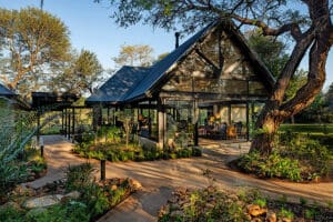 Kings Camp in Kruger, South Africa. 