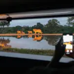 Spend time in the hide which overlooks the waterhole - a great spot to watch wildlife up close, photographer's dream.