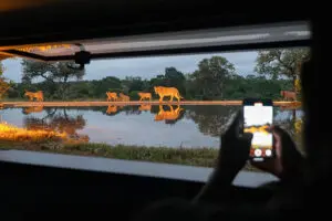 Spend time in the hide which overlooks the waterhole - a great spot to watch wildlife up close, photographer's dream.