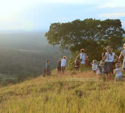 Shimba Hills sundowners