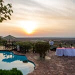 Copas al atardecer
