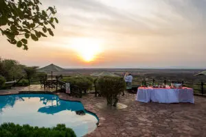 Copas al atardecer