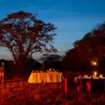 Cena de Bush