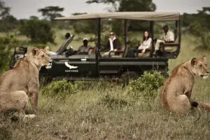 Los safaris nunca decepcionan.