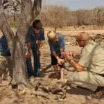 Guardabosques bien formados y experimentados cautivarán a sus hijos con historias informativas y entretenidas sobre el entorno de Kruger.