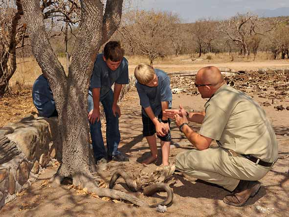 Well-trained & experienced rangers will enthrall your children with informative & entertaining stories about the Kruger environment.