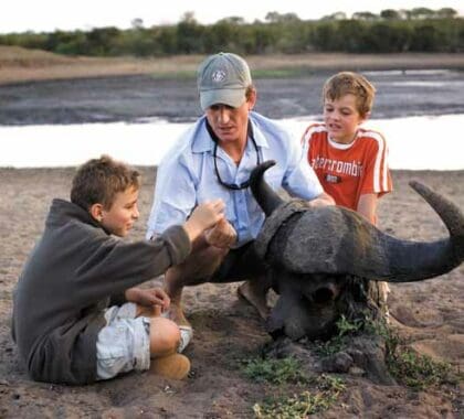 Cuando se trata de safaris familiares, la seguridad es lo primero para los guardas de Kruger: ¡esto es lo más cerca de un búfalo que estarán tus hijos!