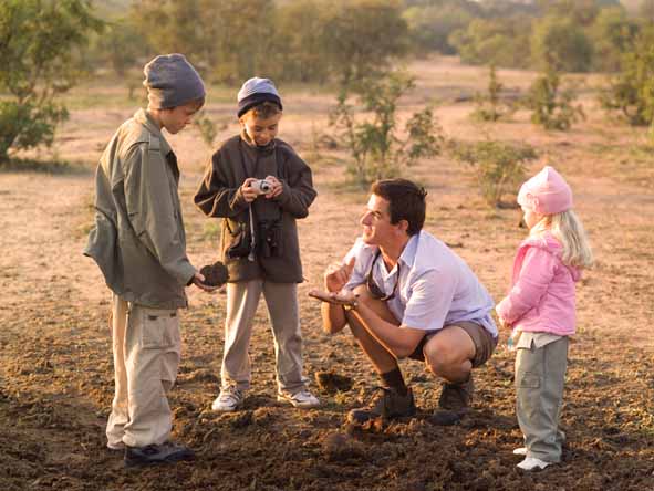 Talk about a hands-on experience: identifying dung is just one of the skills your children will learn on safari.