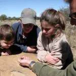 A veces son las cosas más pequeñas las que más fascinan: los guías buscarán insectos y aves interesantes, además de los 5 Grandes.