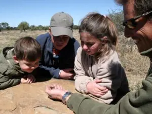 A veces son las cosas más pequeñas las que más fascinan: los guías buscarán insectos y aves interesantes, además de los 5 Grandes.