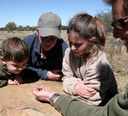 A veces son las cosas más pequeñas las que más fascinan: los guías buscarán insectos y aves interesantes, además de los 5 Grandes.