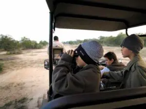 Los inviernos de Kruger (de mayo a septiembre) son secos y mucho más fríos de lo que cree. Lleve ropa de abrigo para los safaris matutinos.