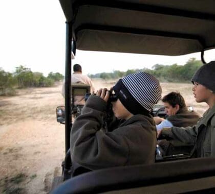 Los inviernos de Kruger (de mayo a septiembre) son secos y mucho más fríos de lo que cree. Lleve ropa de abrigo para los safaris matutinos.
