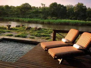 Las terrazas elevadas, las piscinas privadas y el avistamiento ininterrumpido de animales forman parte de la experiencia de luna de miel en Kruger.