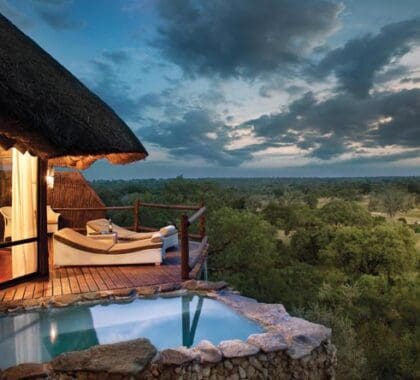 Kruger Honeymoon