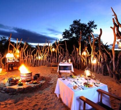 Kruger Honeymoon