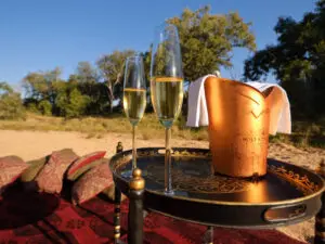 Durante su luna de miel en Kruger, no faltarán los momentos de champán, ¡incluso durante los safaris!