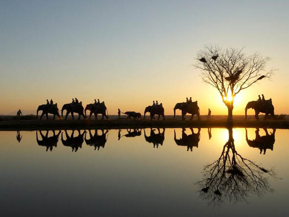 Camp Jabulani offers elephant-back safaris, a unique way to search for the Big 5!