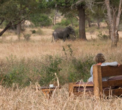 Avistamiento de animales desde el campamento Kuro Tarangire.