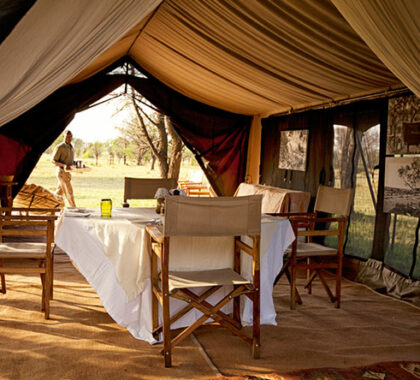 Early morning light floods the mess tent as breakfast is served prior to a game drive.
