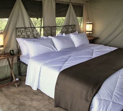 Cada una de las cuatro lujosas suites del campamento desprende una elegancia sencilla y tranquila.