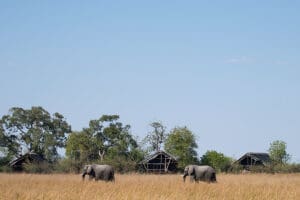 KwandoLebalaCampamento-Exterior-Elefante