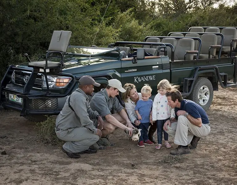 Family-friendly safaris.