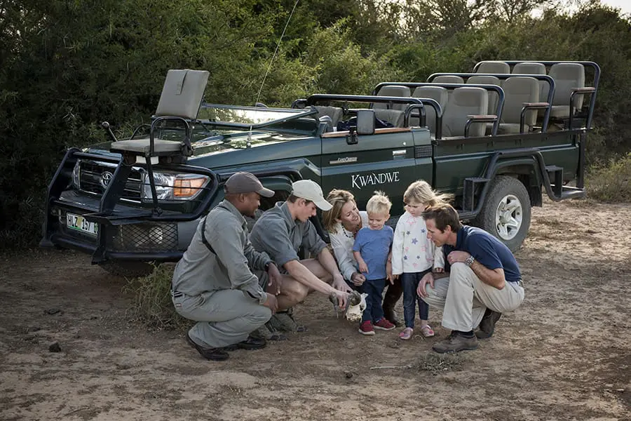 Safaris para familias.