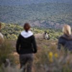 Los adultos pueden realizar safaris a pie para ver los 5 grandes, mientras que los niños pueden disfrutar de una serie de actividades adecuadas, como un paseo por la naturaleza para aprender a rastrear. 