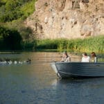 Boat-based game watching is a great way to see water birds, hippo & other animals coming down to drink.
