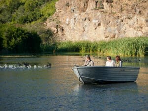 Boat-based game watching is a great way to see water birds, hippo & other animals coming down to drink.
