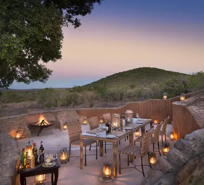 Disfrute de deliciosos platos familiares o especialidades locales en el boma bajo el hermoso cielo africano.