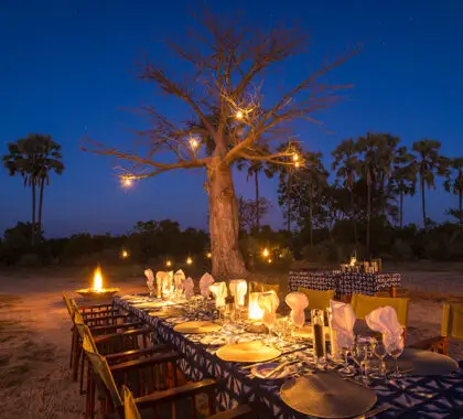 KwetsaniCamp-Dining-BushDinner