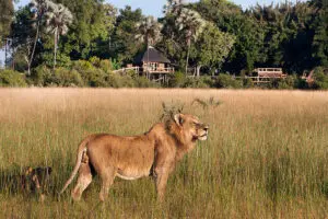 KwetsaniCamp-Exterior-León