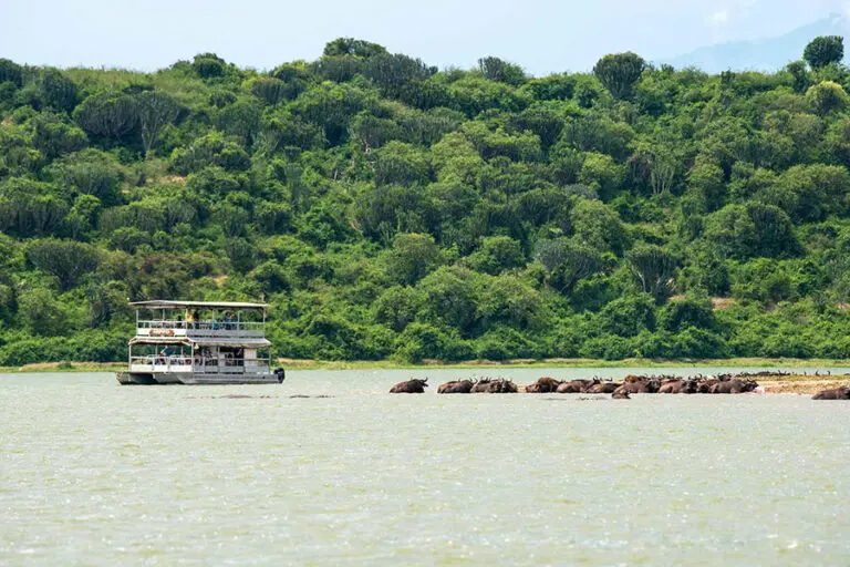 Kazinga Channel boat cruise.