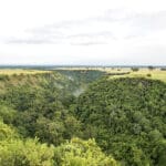 El bosque hundido del desfiladero de Kyambura